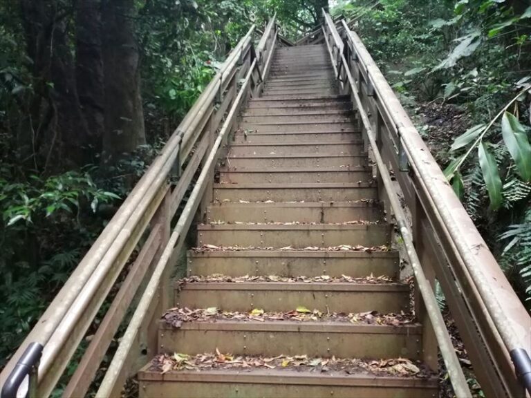 末吉公園の階段